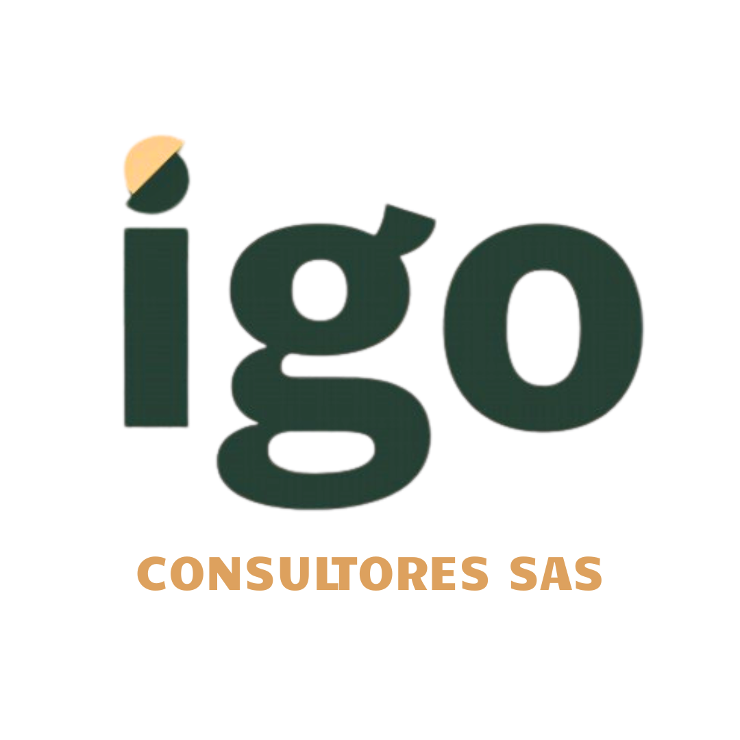 IGO Consultores